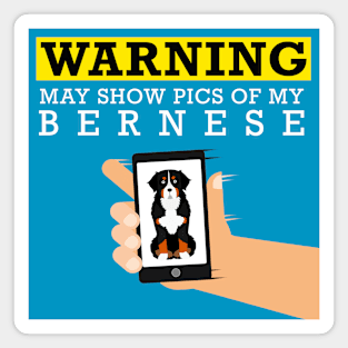 Bernese Mountain Dog, May Show Pics of My Magnet